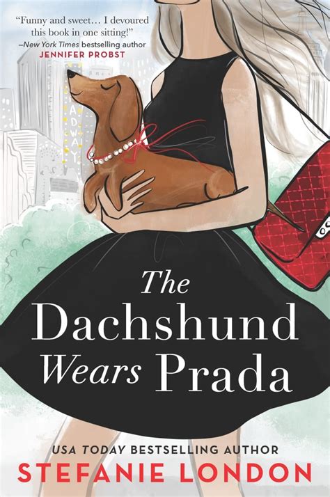 the dachshund wears prada|the dachshund wearing prada.